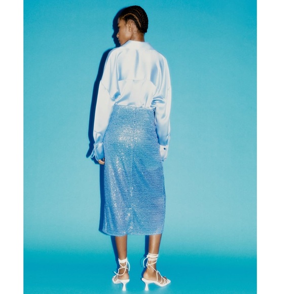 Zara sequin midi skirt - Picture 13 of 13